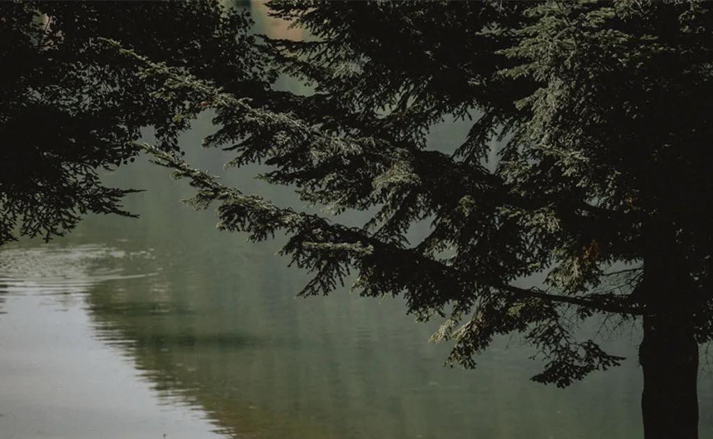 dettaglli del Lago sirino, durante il rito civile di un matrimonio a Maratea