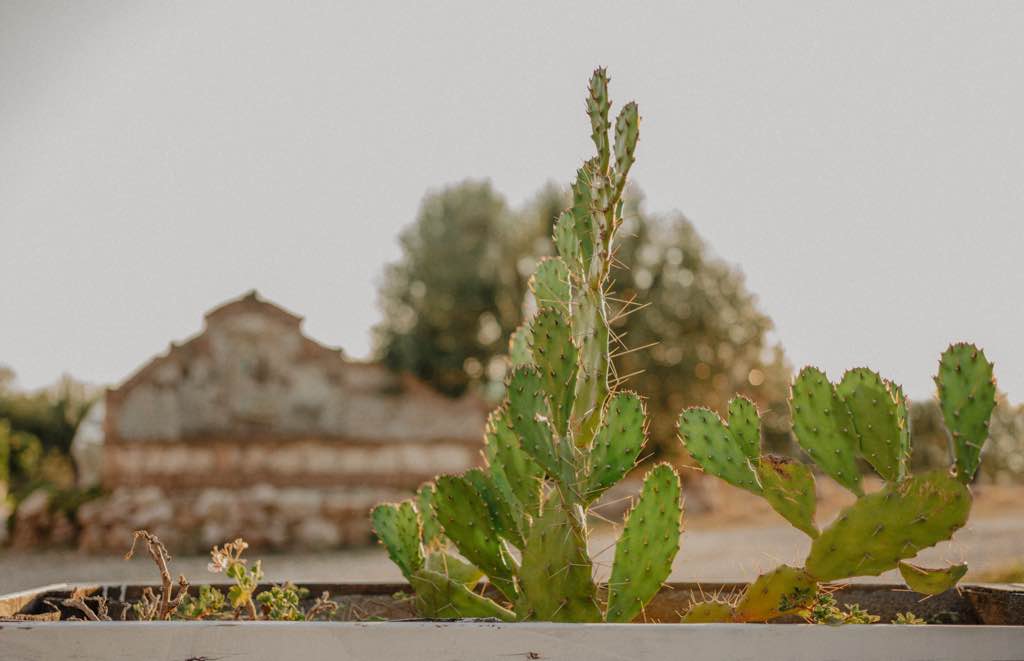 Matrimonio a Pisticci, Matera. Giuseppe Bruno fotografo