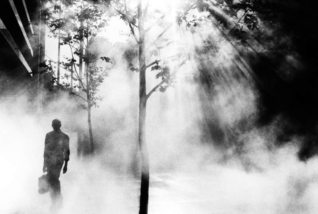 trent parke 011